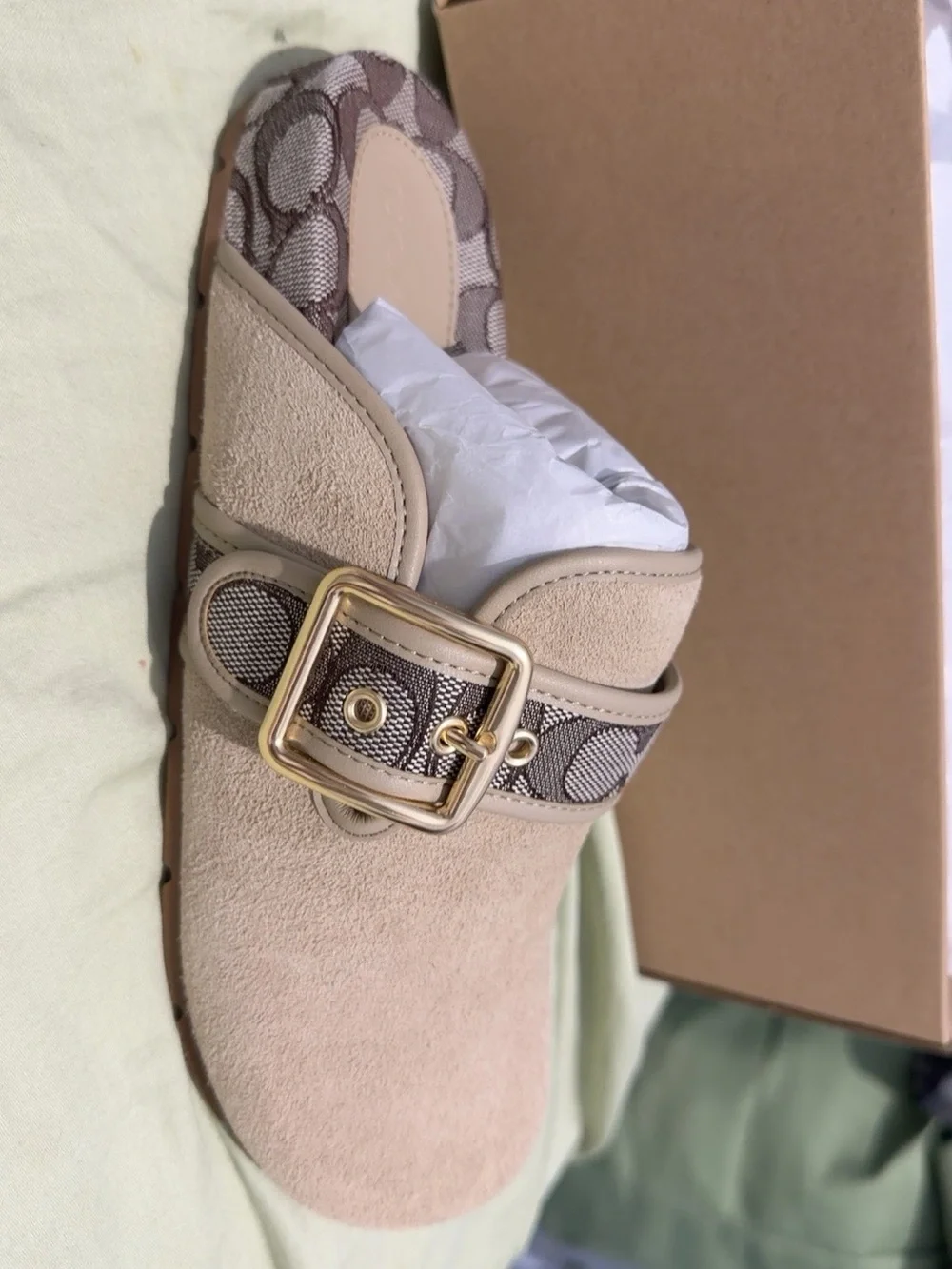 Coach Arch Buckle Sue Clog Shoes in Oat